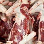 Free Range Duck Skins