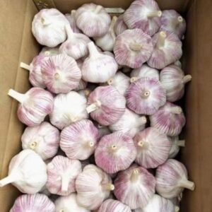 Ajo Alho Fresco Garlic