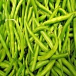 Fresh And Frozen Cut Green Beans With Good Price