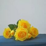 Fresh Cut Flowers