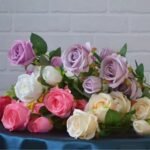Fresh Cut Flowers