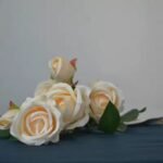 Fresh Cut Flowers