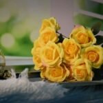 Fresh Cut Flowers