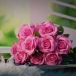 Fresh Cut Flowers