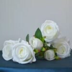 Fresh Cut Flowers