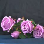Fresh Cut Flowers