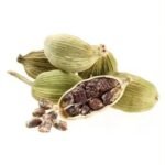 Fresh Green Cardamom