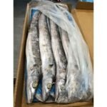 Frozen Ribbon Fish
