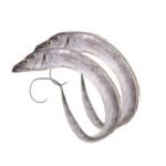 Frozen Ribbon Fish