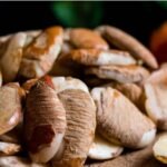 Gourmet Mango Seeds