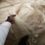 Grade 3L Sisal Fibre