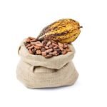Grade A Cocoa Beans For Sale