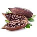 Grade A Cocoa Beans For Sale