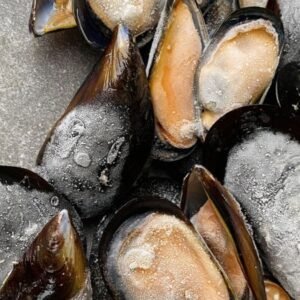 Half Shell Black Mussels Box