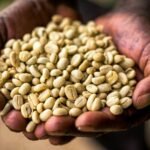Harar Sun Dried Coffee Beans