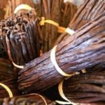 Hot Sale New Large Vanilla Beans For Sale