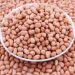 Hot Sale Peanut Kernel