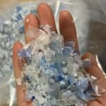 Hot Washed Pet Flakes