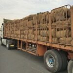 Jute Gunny Bags