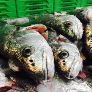 Kabeljou Fillets