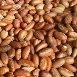 Kola Nuts