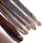 Large Vanilla Beans