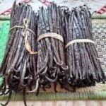 Large Vanilla Beans