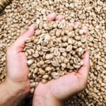 Lekemoti Natural Coffee