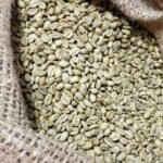 Lekempti Coffee
