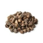 Moringa Seeds