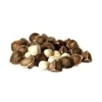 Moringa Seeds