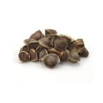 Moringa Seeds