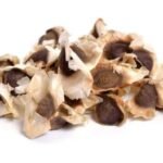 Moringa Seeds