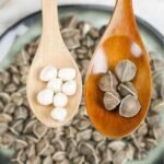 Moringa Seeds