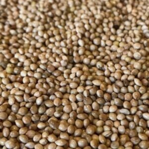 Natural Brown Millet