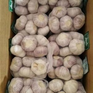 New Crop Fresh Normal White Red Chinese Garlic