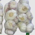 Normal White Garlic