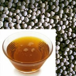 Okra Seed Oil