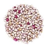Organic Cranberry Beans