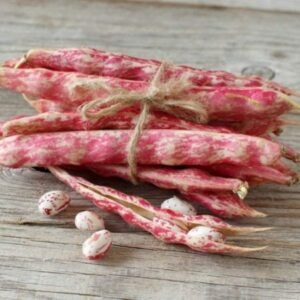 Organic Cranberry Beans