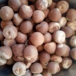 Organic Dried Betel Nuts