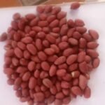 Peanut Kernels