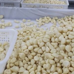 Peeled garlic