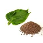 Perilla Seed Oil