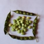 Pigeon peas