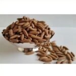 Pine Nuts