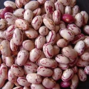 Pinto Beans