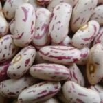 Pinto Beans