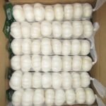 Pure White Garlic