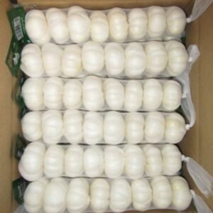 Pure White Garlic